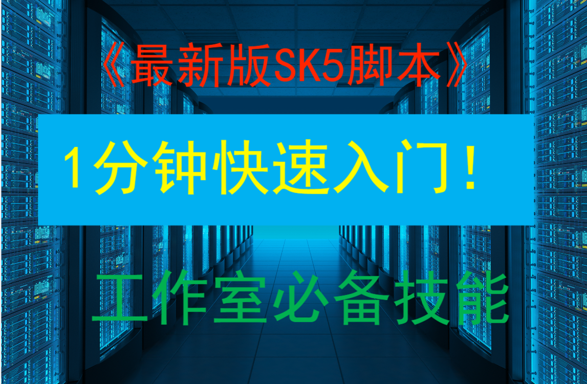 一键搭建 Socks5 协议代理服务器教程-资源网